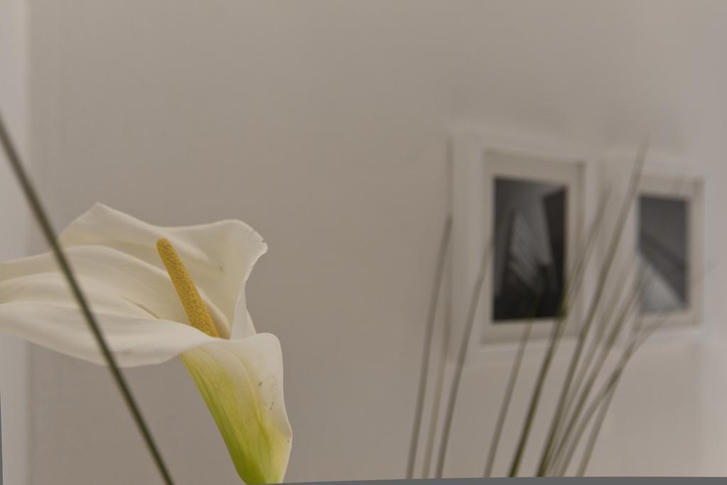 Suitime Milan Room photo